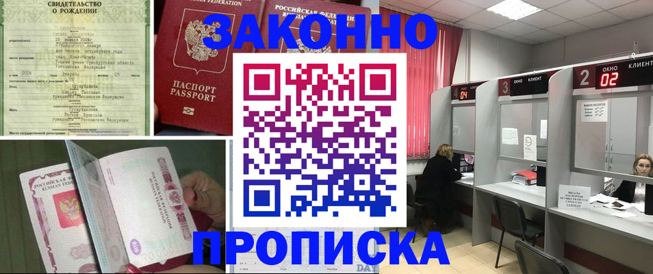 временная регистрация госуслуги в Никольском